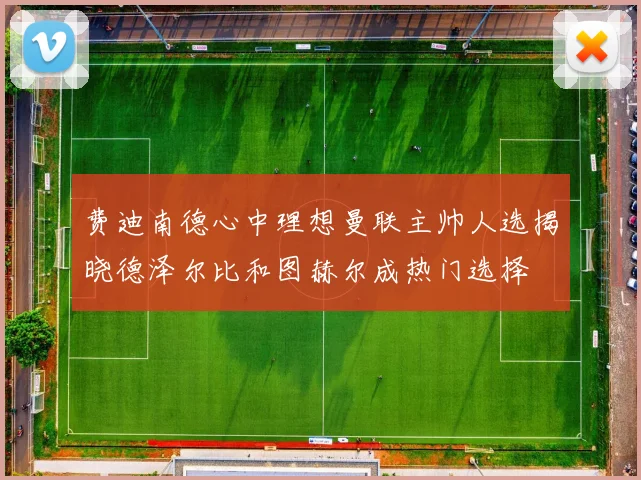 费迪南德心中理想曼联主帅人选揭晓德泽尔比和图赫尔成热门选择