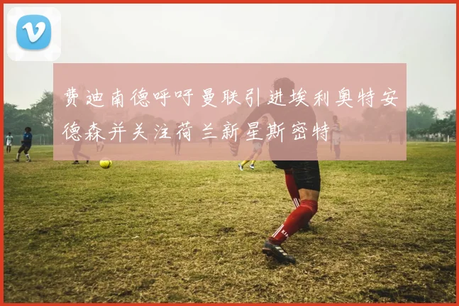费迪南德呼吁曼联引进埃利奥特安德森并关注荷兰新星斯密特