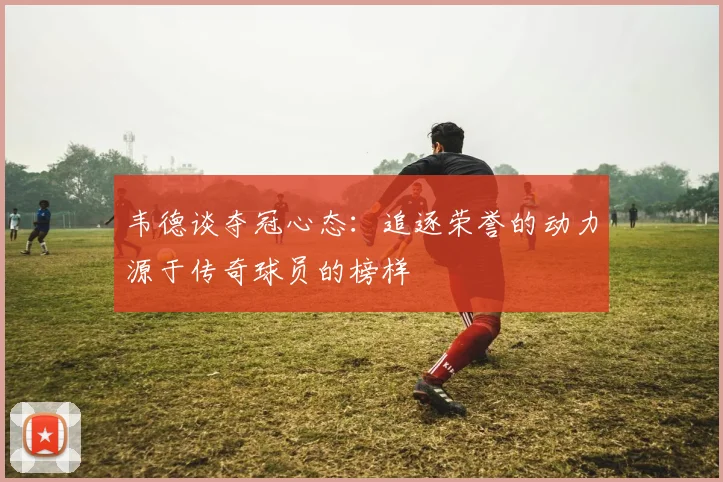 韦德谈夺冠心态：追逐荣誉的动力源于传奇球员的榜样